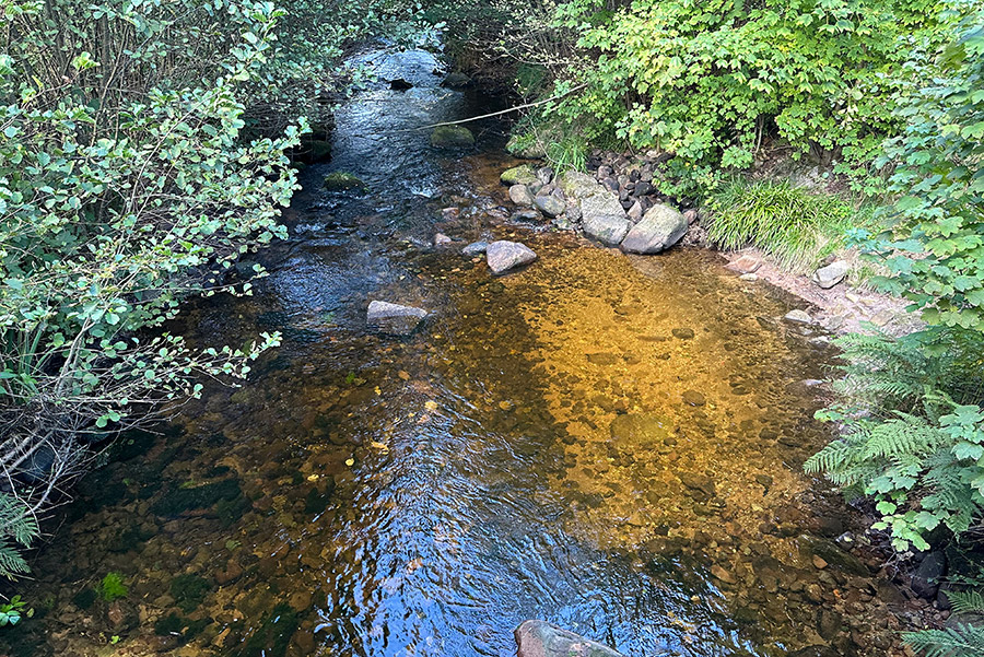 bachzugang enztalpromenade