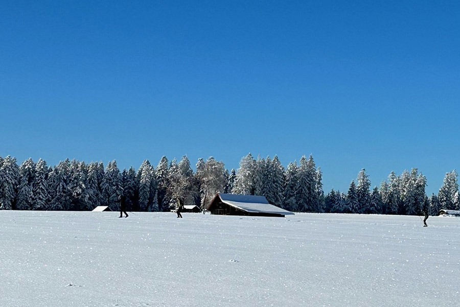 Langlaufloipen in Seewald Besenfeld