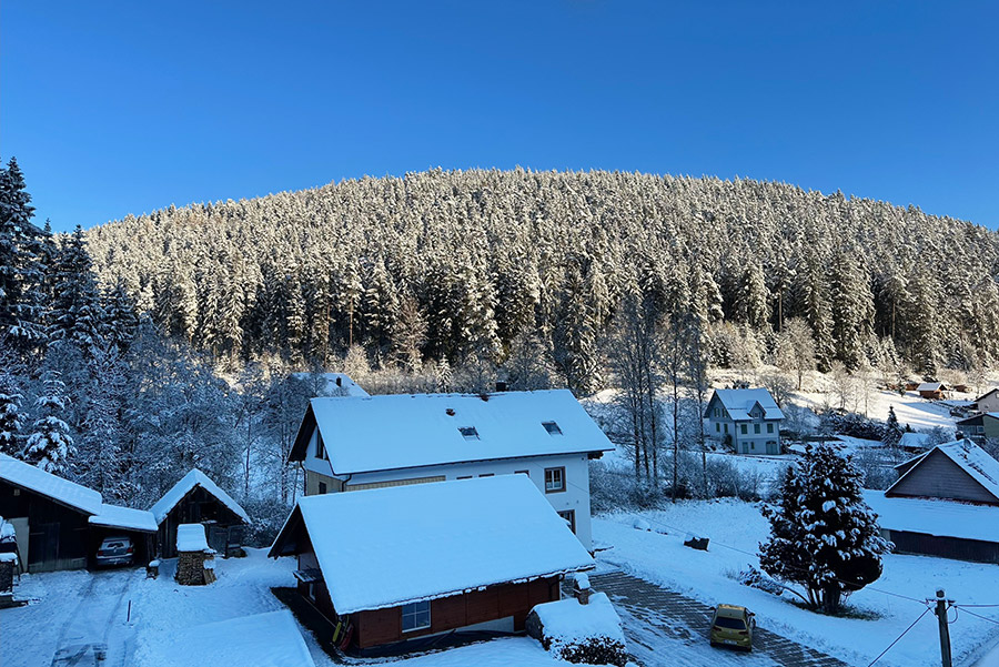 Blick aus dem Dachfenster Tannenwipfel