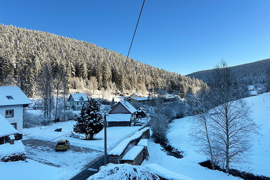 Blick aus dem Fenster Waldblick