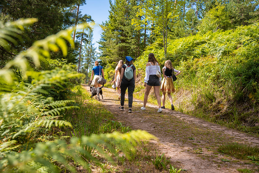 Premium Heidelbeerweg Rechte-Gmd-Enzkloestere-Fotograf-Manuel-Kamuf