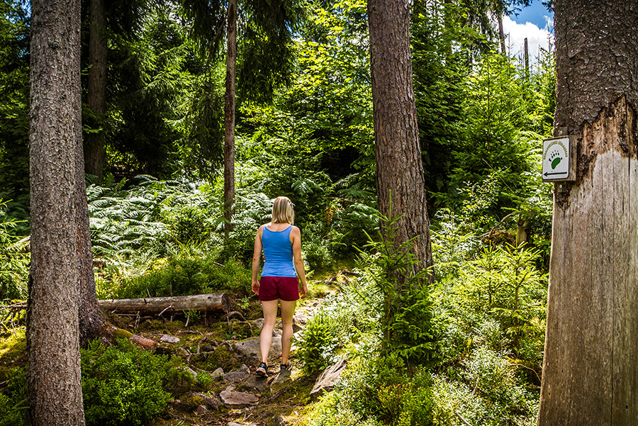 Bärlochkar Abenteuer Bannwald Erlebnis Photographie AlexKijak Bärlochkar