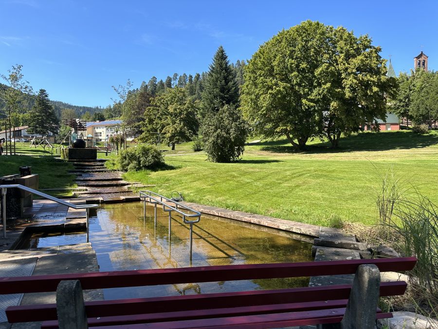 Kneippbecken im Kurpark Enzklösterle