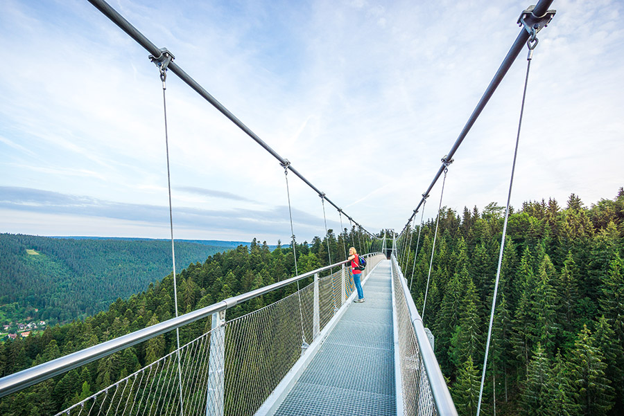 copyright-Tourismus-GmbH-Noerdlicher-Schwarzwald-Wildline-Alex-Kijak