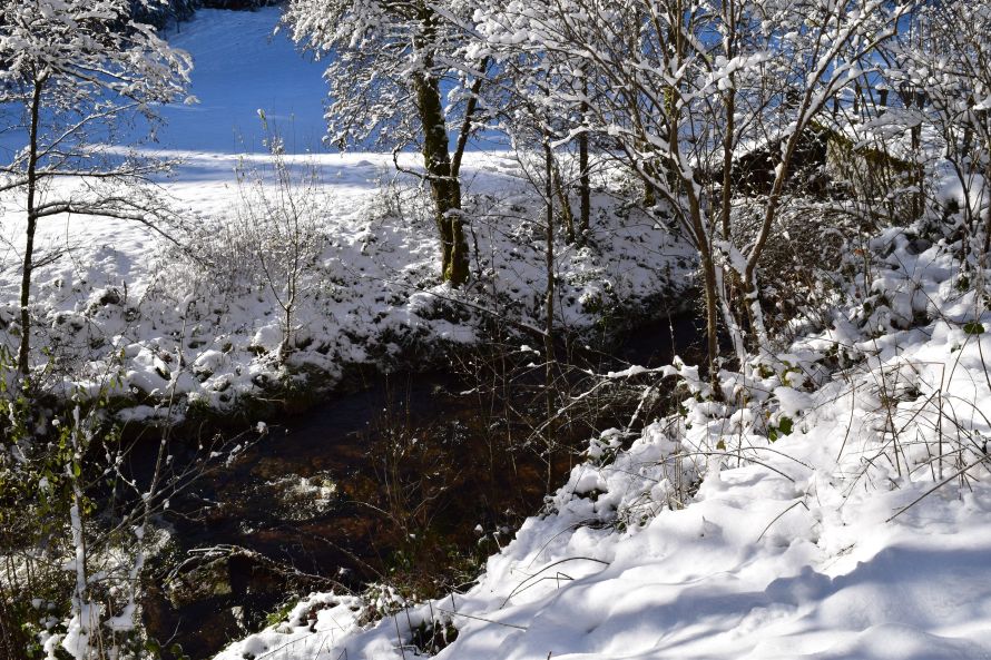 verschneiter Rohnbach