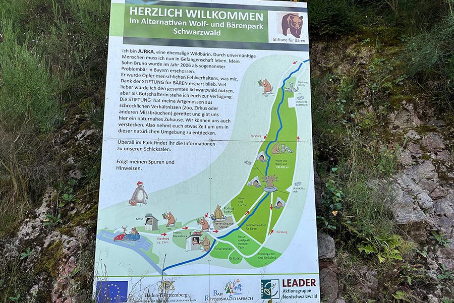 alternativer Wolf und Bärenpark Rippoldsau