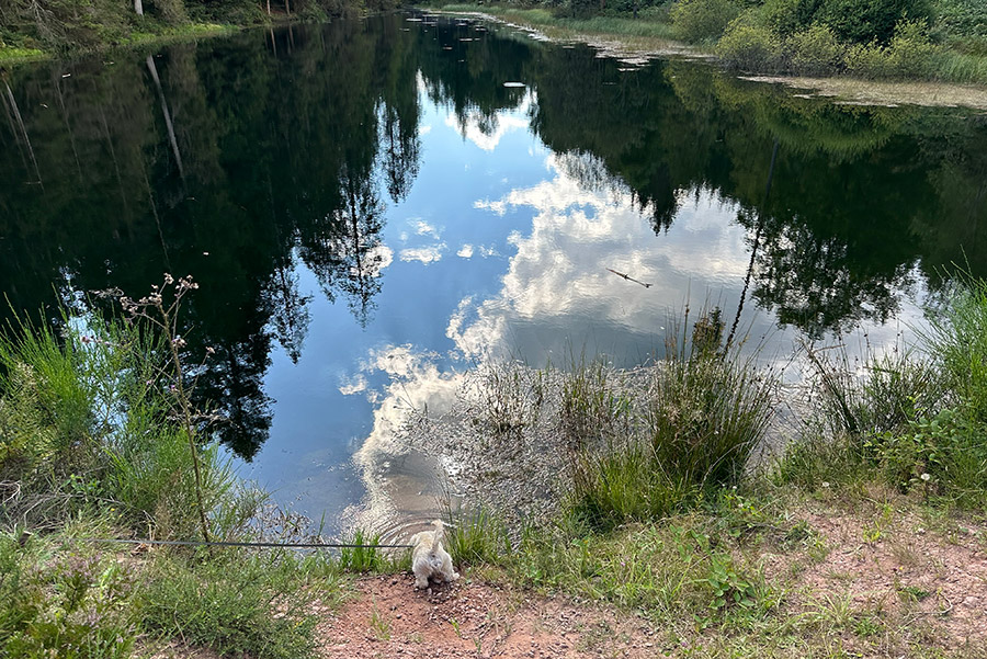 Kaltenbachsee Rundwanderweg 