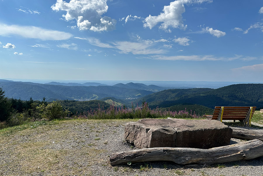 Kaltenbronn Aussicht bis zu den Vogesen