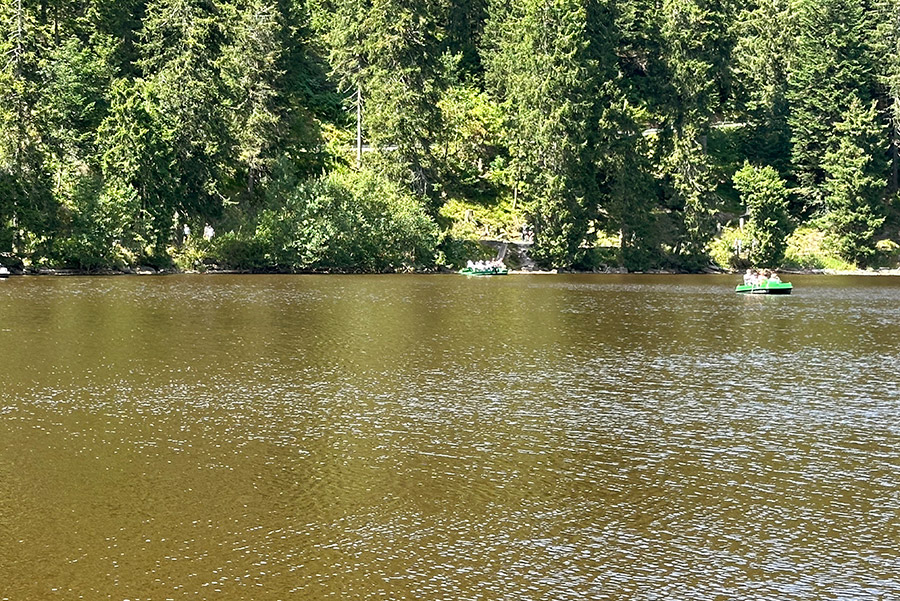Mummelsee Treetboot Verleih