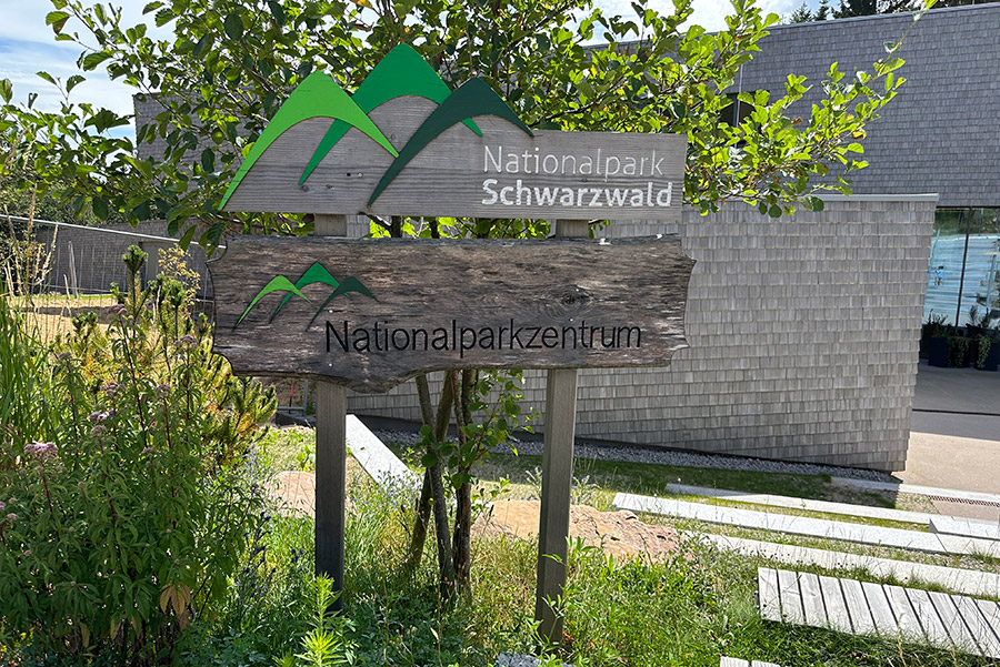 Wandern am Nationalpark Ruhestein 