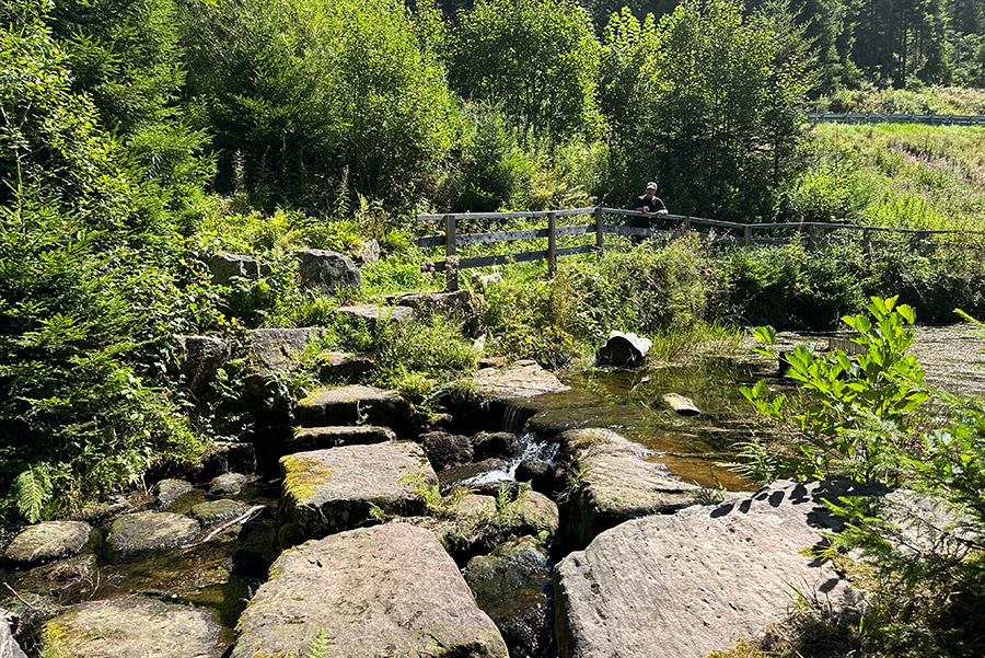 Rundwanderweg auf schmalen Pfaden Poppelsee/ Poppeltal