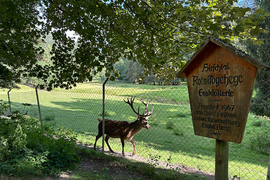 Rotwildgehege Hirschpark