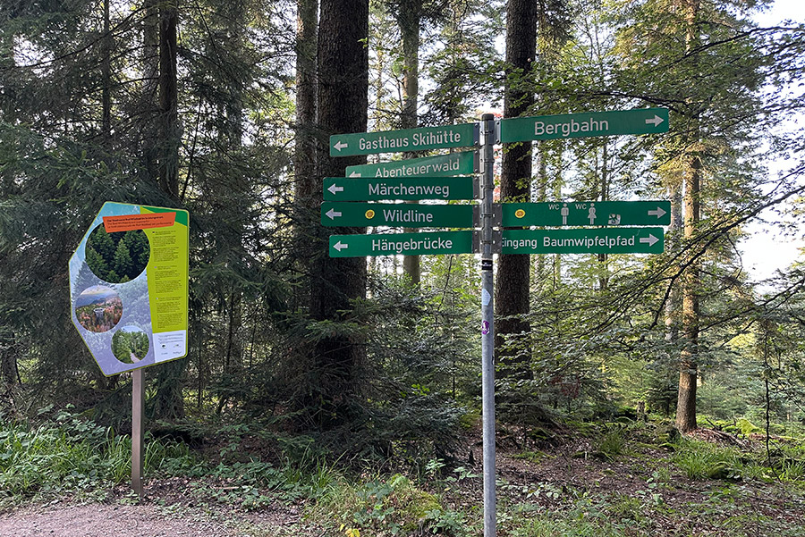 Sommerberg Bad Wildbad Baumwipfelpfad, WildLine, Abenteuerspielplatz