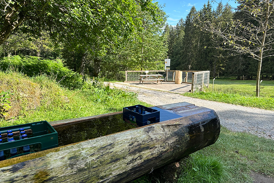 Rotwildgehege Hirschtal Rundweg Start vom Schwarzwaldhaus Zwink 