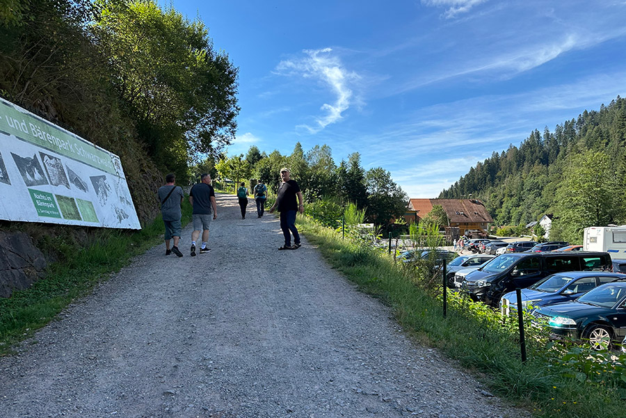 alternativer Wolf und Bärenpark Rippoldsau