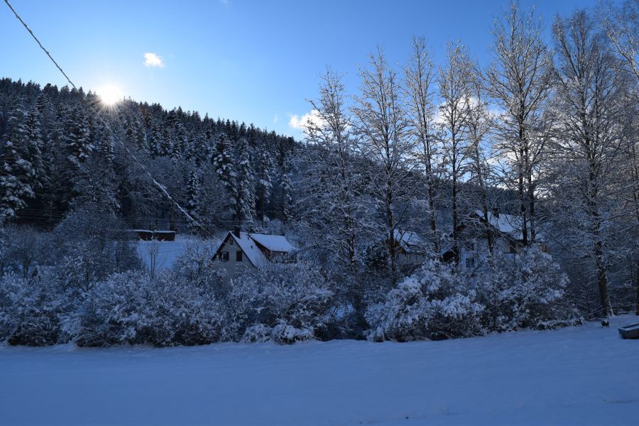 Winterurlaub Blick auf das Schwarzwaldhaus Zwink 