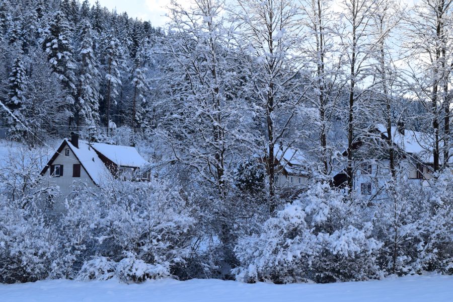 verschneites Rohnbachtal Blick auf das Schwarzwaldhaus Zwink 