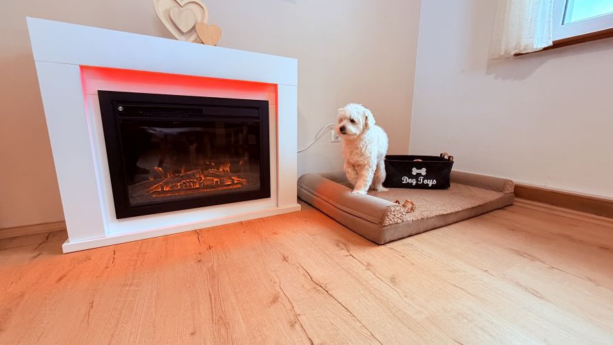 Hunde sind herzlich willkommen 